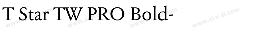 T Star TW PRO Bold字体转换